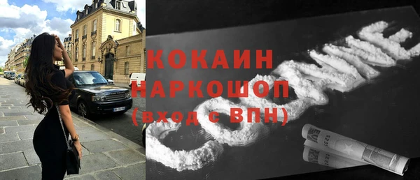 трава Белокуриха