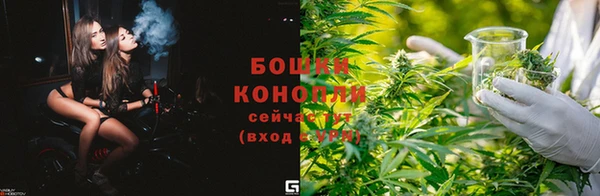 трава Белокуриха