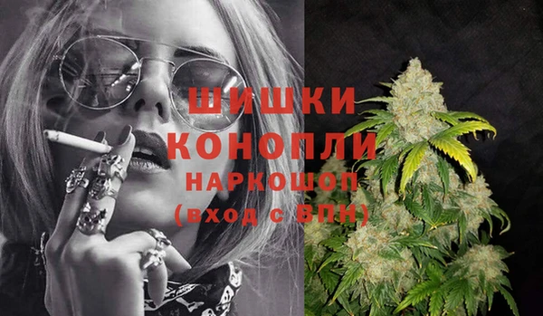 трава Белокуриха
