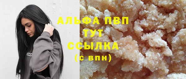 трава Белокуриха