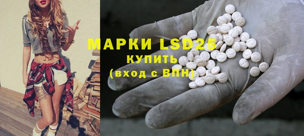 трава Белокуриха